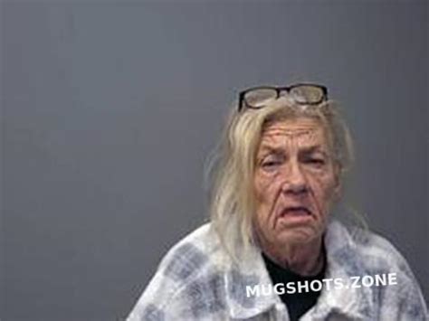 BRENDA C BURNS 02 14 2024 Baxter County Mugshots Zone