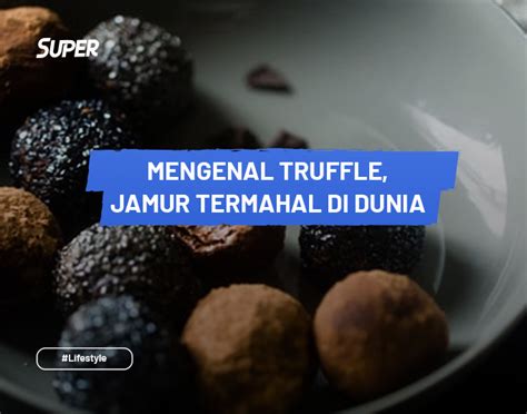 Fakta Unik Truffle Serta Manfaat Alasan Kenapa Sangat Mahal