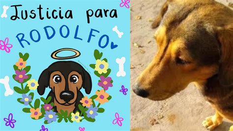 Justicia Para Rodolfo Acusan A Hombre De Matar A Machetazos A Perrito