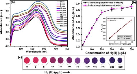 Chromophoric Ion Receptor Decorated Porous Monolithic Polymer For The