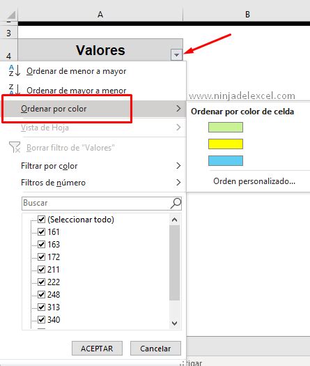 Cómo Ordenar por Color en Excel Ninja del Excel