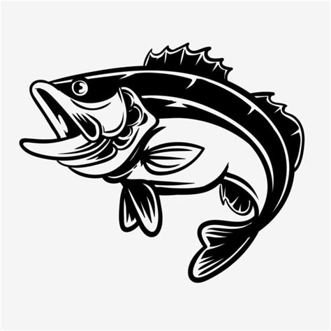 Ilustrasi Vektor Ikan Bass Untuk Pecinta Memancing, Clipart Ikan, Bas, Ikan PNG dan Vektor ...