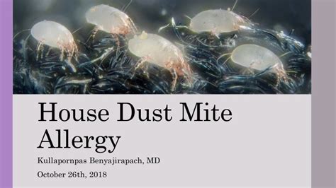 House dust mite allergy