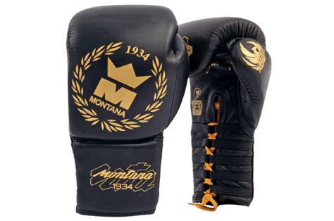 Pro Lace-up Boxing Gloves, Leather - NewCode, Montana - DragonSports.eu