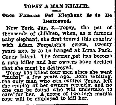 Bill Milhomme: Topsy: Thomas Edison electrocuted an innocent elephant 1903