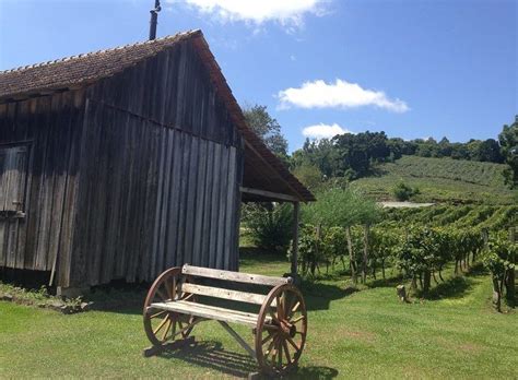 Passeios Imperd Veis No Caminhos De Pedra De Bento Gon Alves