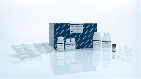 Qiagen Qiaamp Dna Mini Kitdna提取纯化