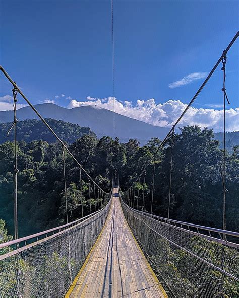 7 Fakta Menarik Gunung Gede Pangrango