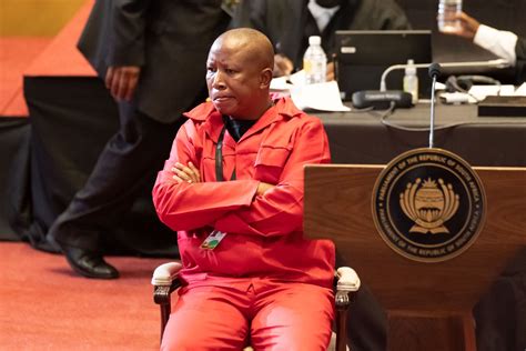 Parliament closes Malema's VBS Bank file due to lack of evidence | News24