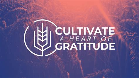 Cultivate a Heart of Gratitude - Sermon Series | Crossings Community Church | Crossings ...