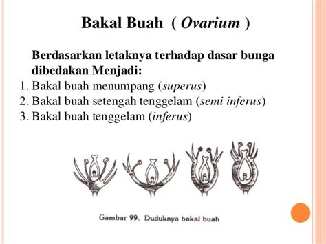 √ 10 Bagian Bagian Bunga Beserta Fungsinya Gambar Penjelasan Lengkap