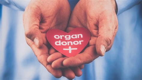 World Organ Donation Day 2023 विश्व अंगदान दिवस जानें महत्वपूर्ण