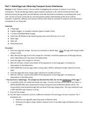 Osmosis Eggs Photosynthesis Cellular Respiration Docx Part Naked