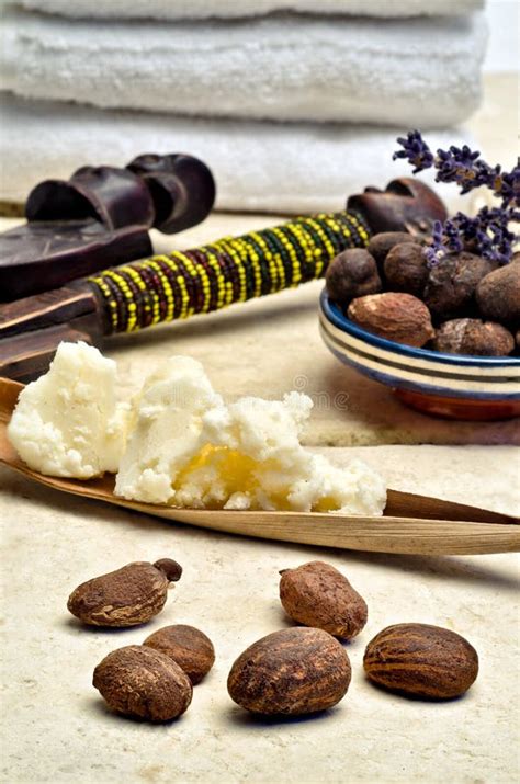 Shea Butter And Nuts In Bowl Stock Photo Image Of Brown Salve 21121108