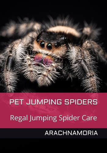 Jumping Spider Care Book Arachnamoria