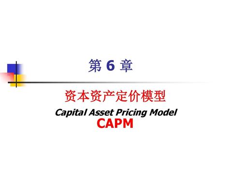 6金融经济学第六章资本资产定价capm理论 Ppt精选文档word文档在线阅读与下载无忧文档