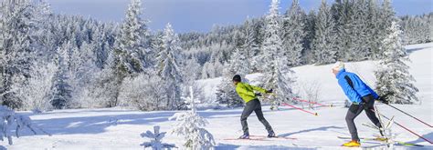 Sci Di Fondo Val Pusteria Piste Dolomiti Nordicski