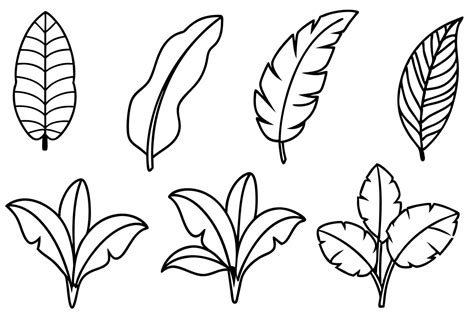 Banana Leaf Line Art Design Intricate Hand Drawing 47443446 Vector Art