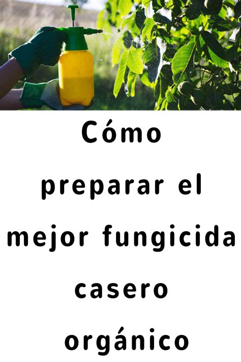 Cómo preparar el mejor fungicida casero orgánico