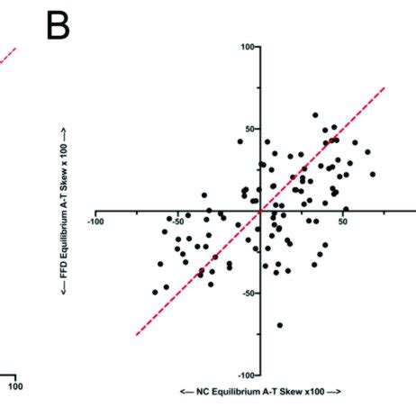 Comparison Of A Substitution Rate And B Predicted Equilibrium A T