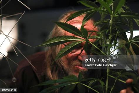 Old Man Smoking Weed Photos And Premium High Res Pictures Getty Images