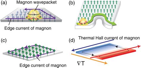 A The Self Rotation Of A Magnon Wave Packet With A Magnon Edge