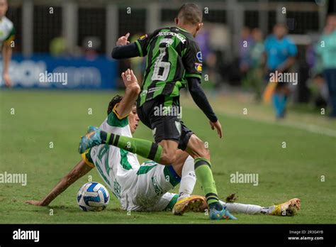 Mg Belo Horizonte Copa Sul Americana America Mg