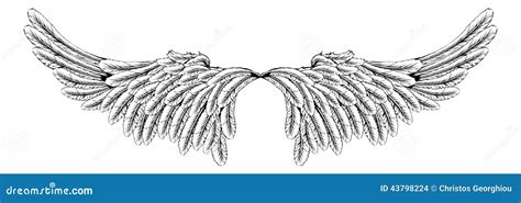 Wings 向量例证 插画 包括有 宗教信仰 幻想 天使 会议室 老鹰 愤怒的 设计 装饰 43798224