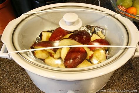 Alex Haralson Diy Baby Food In A Crockpot