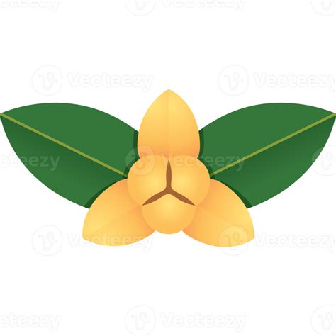 El Nacional Flor De Camboyas 23610087 PNG