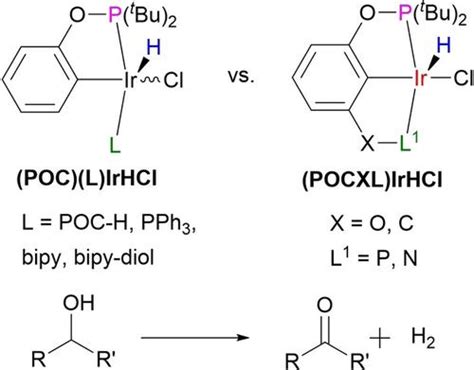 双齿 Poc 配体环金属化铱配合物的合成、结构和催化活性european Journal Of Inorganic Chemistry