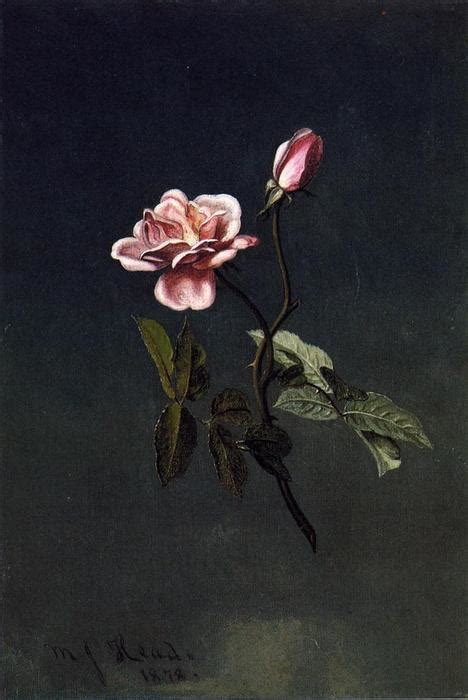 Reproducciones De Arte Rosa Rosa De Martin Johnson Heade