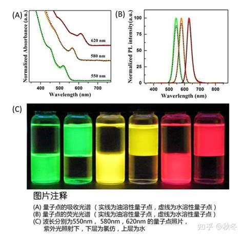 水溶性cdse Zns 量子点，，水溶性氨基cdse Zns量子点，水溶性cdse Zns核壳荧光量子点（cdses Zns Fluorescent Nanocrystals） 知乎