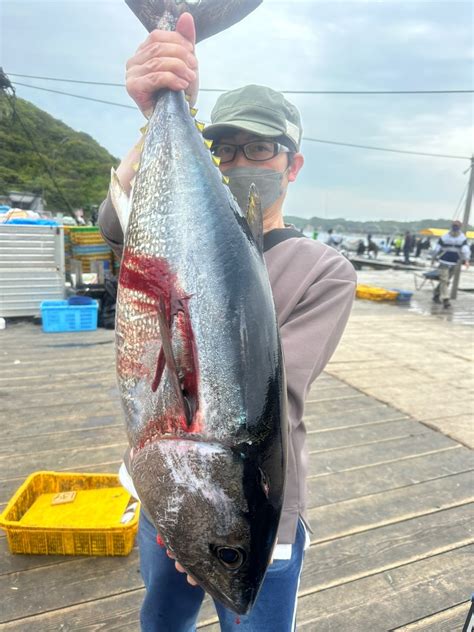 明日は過去最大級とくヒラマサ放流！no1 水宝日記