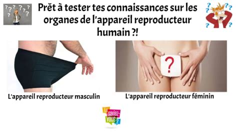 4e SVT Appareils Reproducteurs