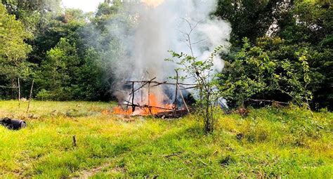 Fiscal A Y La Marina Destruyen Campamento De Mineros Ilegales Que