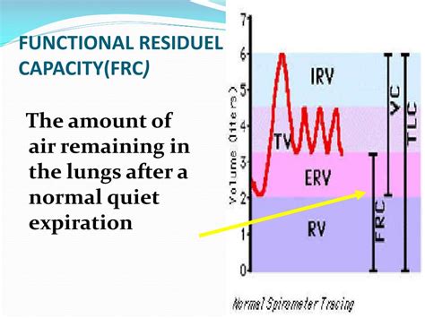 Ppt Lung Function Tests Powerpoint Presentation Free Download Id