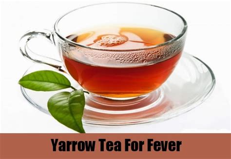 Tea For Fever Healthy Tea 101