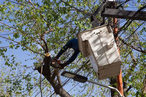 Estos Son Los Cortes De Energía Programados Para Este Miércoles Mendovoz