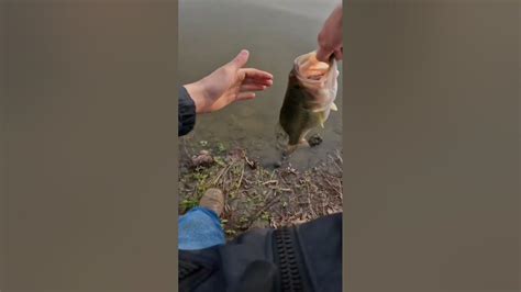 Late Winter Bass Fishing Youtube