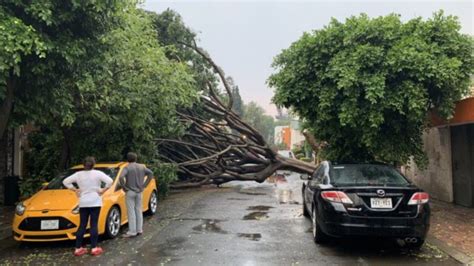 Lluvia Y Vientos Dejan Rboles Y Espectaculares Ca Dos As Como