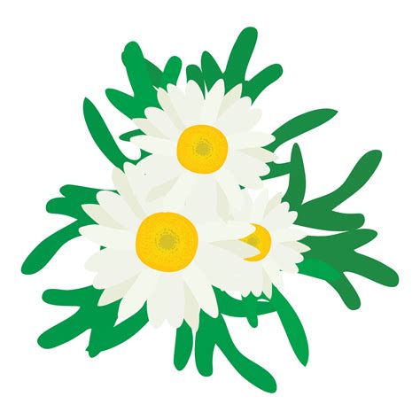 Chamomile Flower Icon Isometric Vector Bright Chamomile Flower With