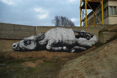 ROA: Street Art – Daily Art Fixx