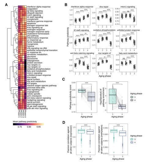 Multi Omics Network Analysis Reveals Distinct Stages In The Human Aging