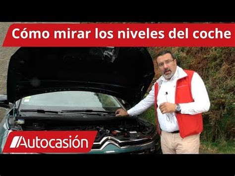 Todo Lo Que Debes Saber Sobre El Testigo Del L Quido Refrigerante En Tu