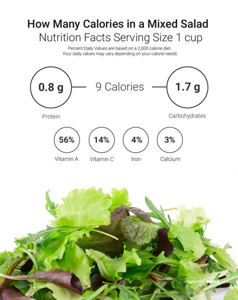 How Many Calories In A Salad Howmanypedia