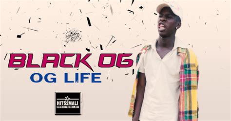 Black Og Og Life Son 2019 Hits2mali Net