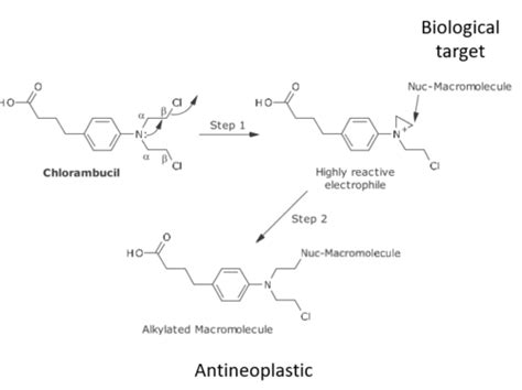 Principles Of Drug Action Drug Receptor Interactions Flashcards Quizlet