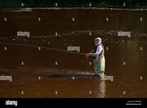 Fly Fishing Rivercasting Stock Photo Alamy