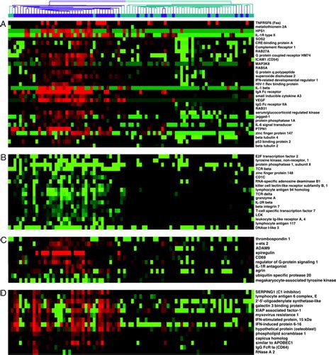 Interferon Inducible Gene Expression Signature In Peripheral Blood